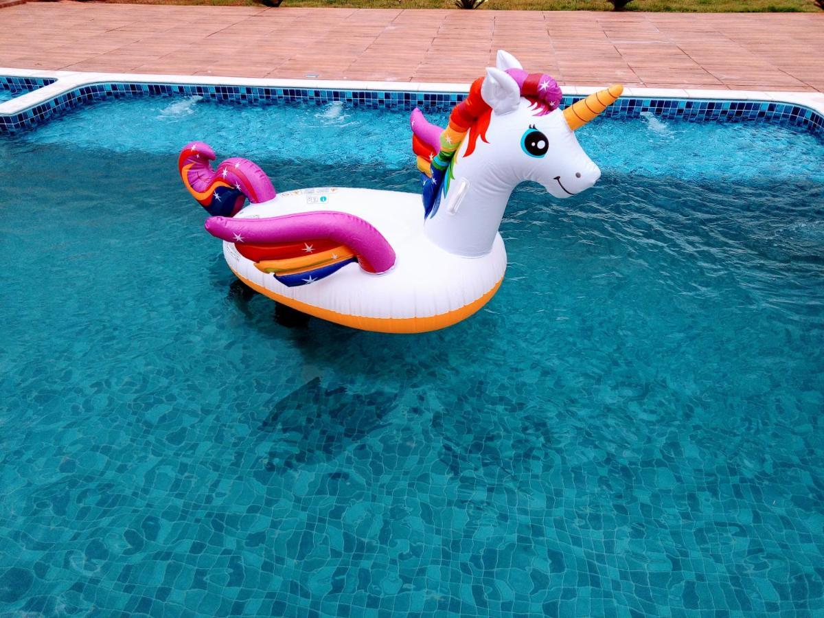 Flats Alegria Piscina Climatizada